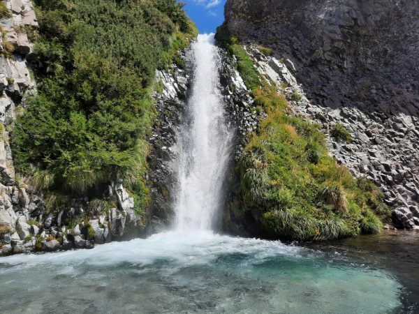 Trekking Volcán Descabezado Grande, Bosques y Aguas Termales - Imagen 4