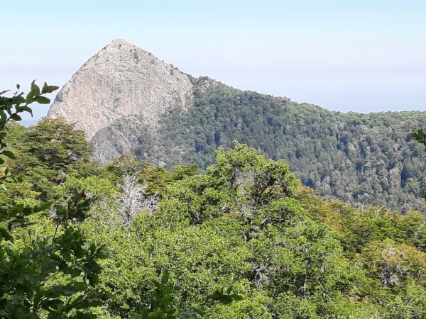 Trekking El Enladrillado – Image 14
